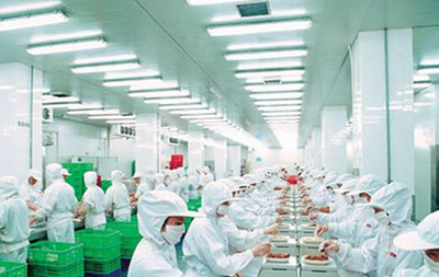 食品加工包裝行業的迅猛發展及其對農副產品的深遠影響