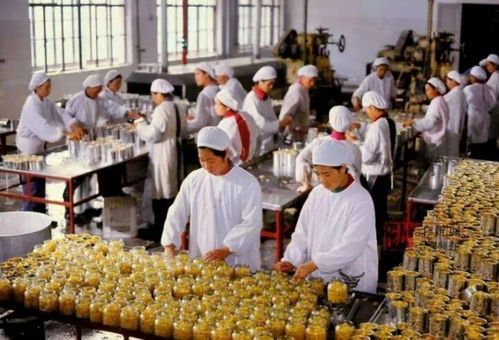 杭州罐頭食品廠舊址煥新 從工業(yè)遺產(chǎn)到城市新地標(biāo)