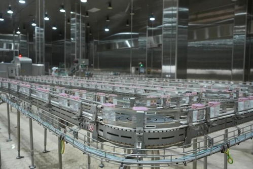 探秘比瑞吉透明工廠 一座食品級寵物廚房的全球標(biāo)準(zhǔn)與細(xì)節(jié)